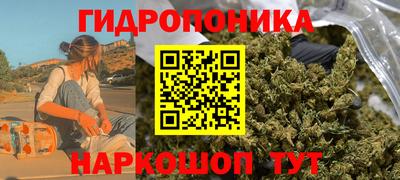 твердый Лесосибирск