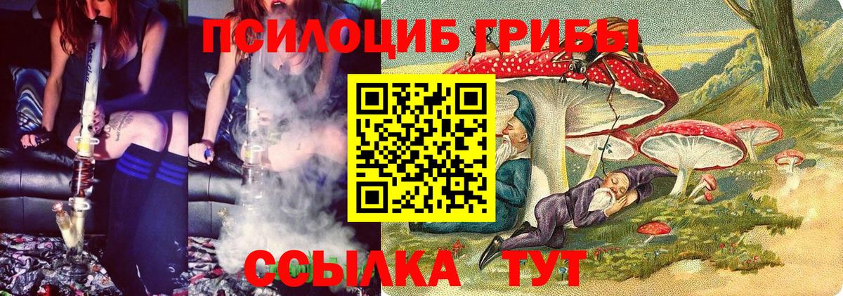 Псилоцибиновые грибы Cubensis  купить   Вход с VPN  Владикавказ  Псилоцибиновые грибы MAGIC MUSHROOMS 