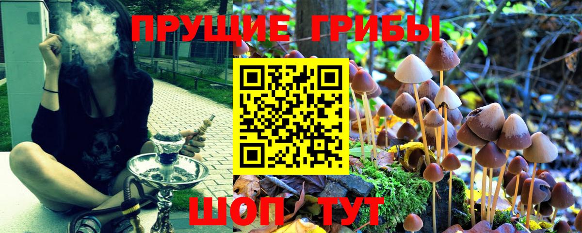 Псилоцибиновые грибы ЛСД Владикавказ
